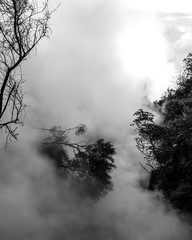 Sun bursting through the steam of a geothermal river in black and white