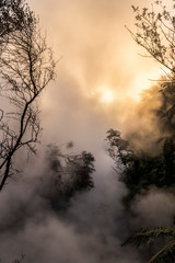 Fototapeta premium Yellow sun bursting through the steam of a geothermal river
