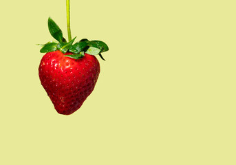 strawberry on yellow background