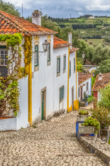 Fototapeta na wymiar View of a Portuguese vernacular buildings on medieval village inside the fortress and Luso Roman castle of Óbidos