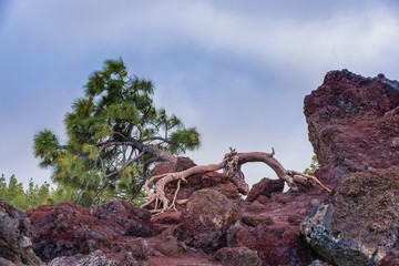 Fototapeta na wymiar High volcanic mountain range of Tenerife island