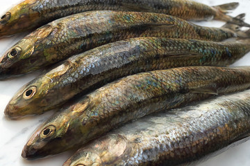 Fresh herring is a silver fish of great commercial importance as food fish in many parts of the world. Selective focus.