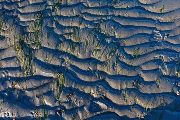 Abstract Wavy Sand and Seaweed Background in Sun