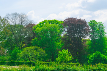 Landscape In The Netherlands, Gelderland