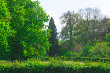 Landscape In The Netherlands, Gelderland