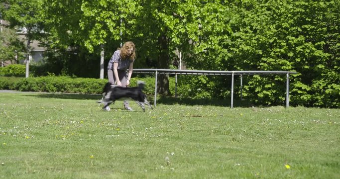 young woman playing with young dog