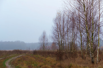 Early autumn in the country. Misty morning in the field.