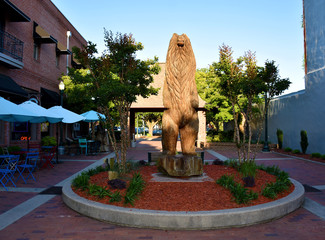 Bear Plaza New Bern 