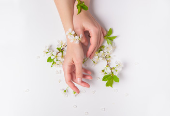 Obraz na płótnie Canvas Female hands with flowers on a white background. Natural cosmetic with flowers, beauty and health.
