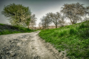 piaszczysta wiejska droga © Henryk Niestrój