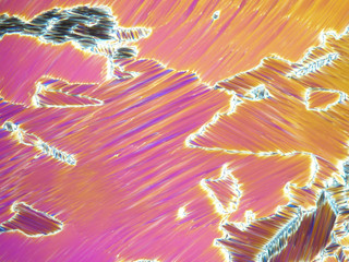 Liquid crystal under polarized light microscope