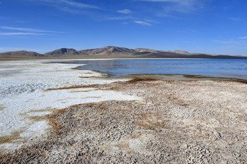 China, Tibet. The store of the lake Ngangtse (Nganga Tso (4690 m)) in cloudy day in summer
