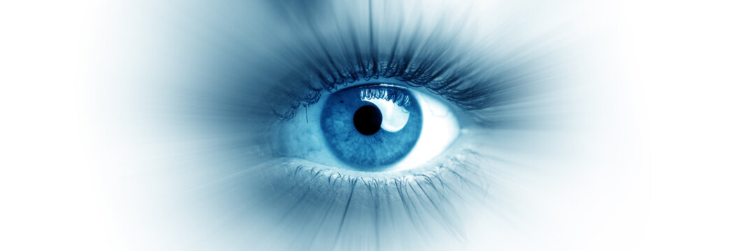 Blue eye of a woman. Eye in motion. Wide banner with a white background.