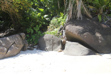 beach seychelles bali iceland tours