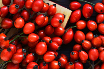 Medicinal plants and herbs composition: Dog rose, bunch branch Rosehips, Different types Rosa canina hips