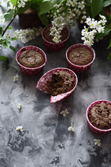 Yummy chocolate muffins and white bird cherry flowers on dark background