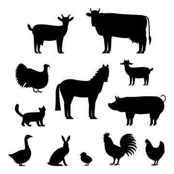 A large set of animals and birds with a farm in a cartoon style. Flat vector illustration isolated