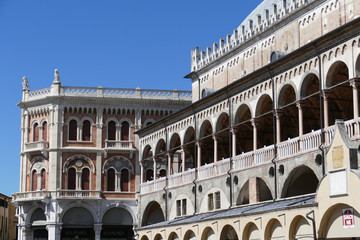 Naklejka premium Padova