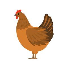The hen hatch eggs in the nest. Flat vector illustration