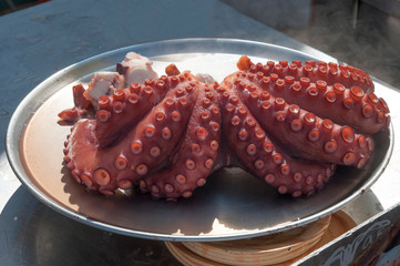 boiled red octopus tentacles with suction cups on a tray