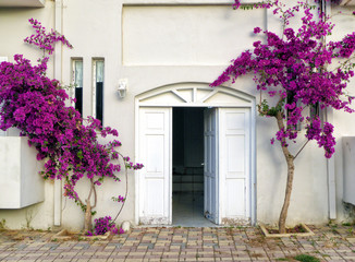 Fototapeta na wymiar Doorway surrounded by flowers, Crete