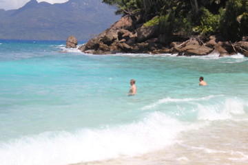 seychelles beach private island coconut