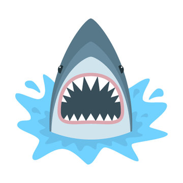Shark with open mouth. Shark isolation on a white background. Flat vector