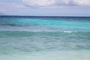 Fototapeta na wymiar seychelles beach private island coconut