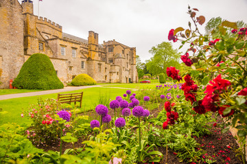 flowers and castle