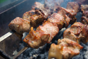 Fresh tasty barbecue with meat kebab in brazier outdoors