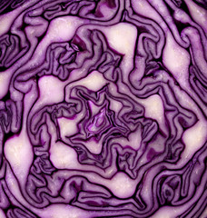 Obraz premium close-up cut in half red cabbage texture