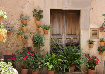 Fototapeta na wymiar old wood door and many potted plants on the medieval street