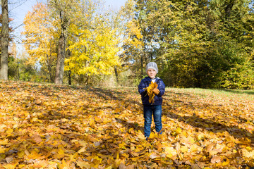 Obraz premium autumn boy walk
