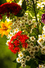 a bouquet of bright spring flowers of various types