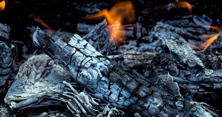 burn out black logs