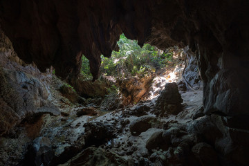 Fototapeta na wymiar 西表島の洞窟