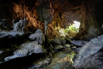 西表島の洞窟