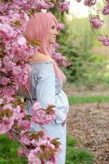 Naklejka premium Beautiful pregnant woman near sakura blooming tree. Spring concept