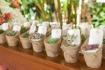 close-up of gifts for party guests