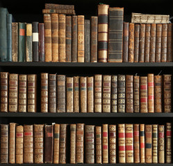 old books on wooden shelf © RPL-Studio