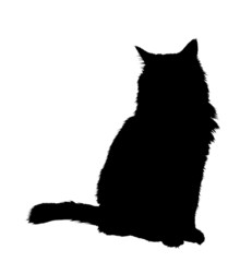 Hairy cat outline silhouette detailed with fur sitting