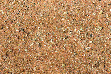 Top view of sandy beach. Background with copy space and visible sand texture.
