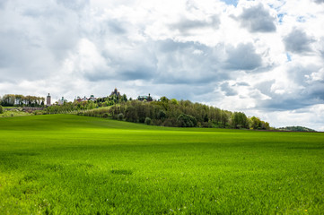 Eye-catching landscape with green grass,  hills and trees, cloudy sky