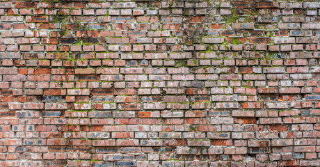 Old brick wall with moss and concrete