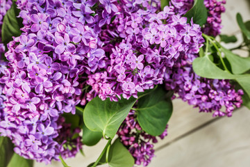 Blooming lilac flowers