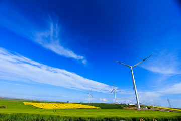 green yellow field one tree and windmill