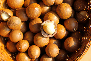 pile of macadamia nuts  in basket