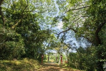 Naklejka premium 永尾神社 熊本県不知火町