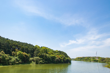 Fototapeta na wymiar 池と風車　pond and windmill 佐賀県唐津市