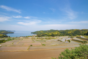 駄竹の棚田　佐賀県唐津市